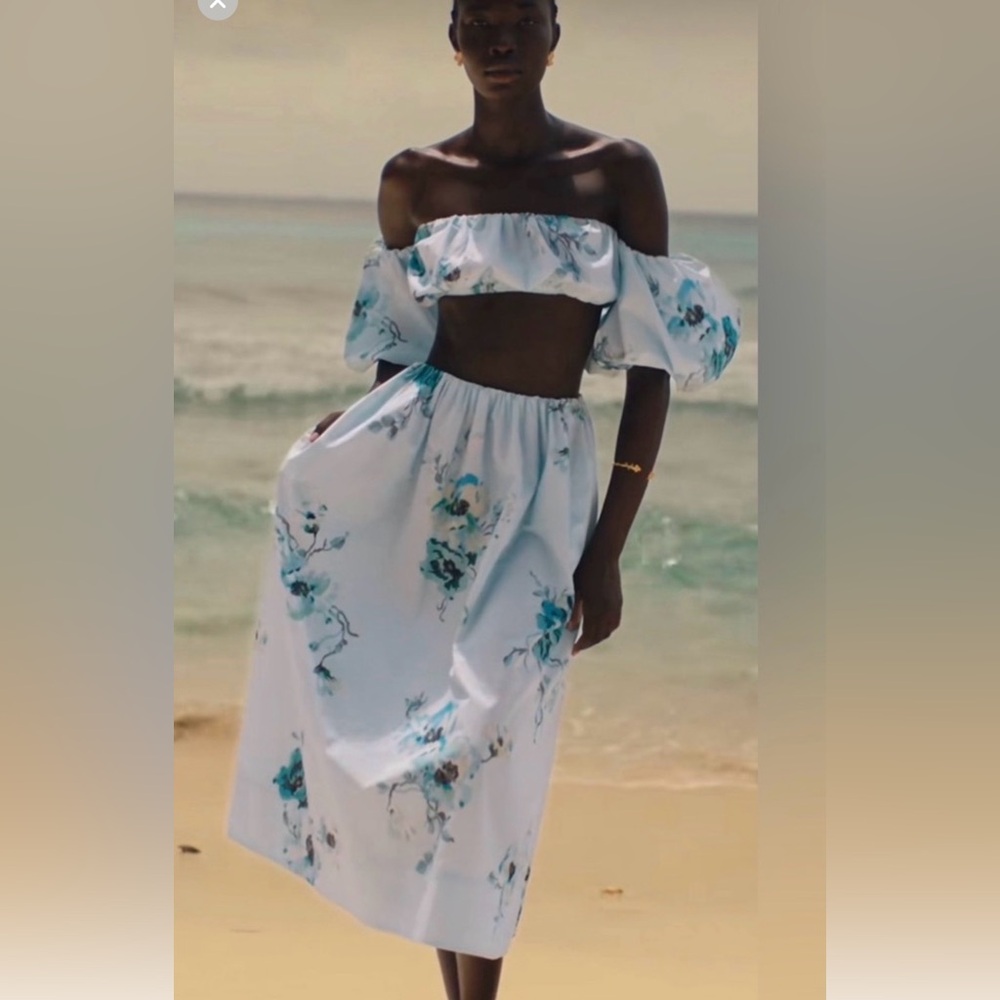 Zimmermann Light Blue Floral Crop Top